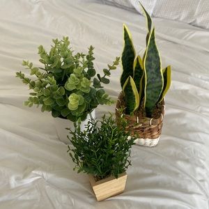 Assorted Fake Plants Bundle